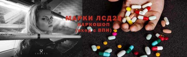 apvp Магас