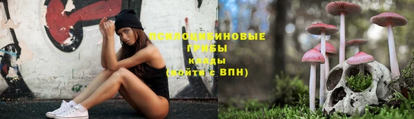 apvp Майский