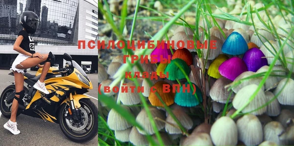 apvp Майский