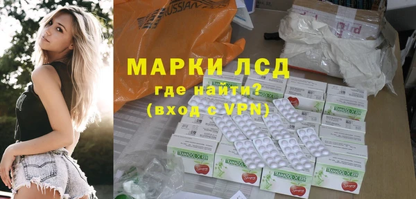 apvp Магас