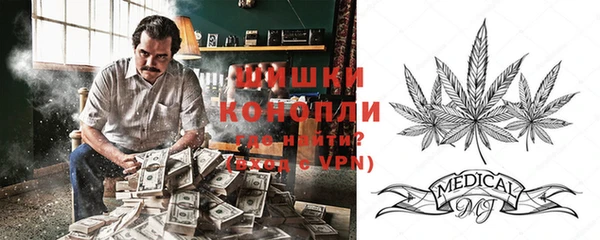apvp Магас