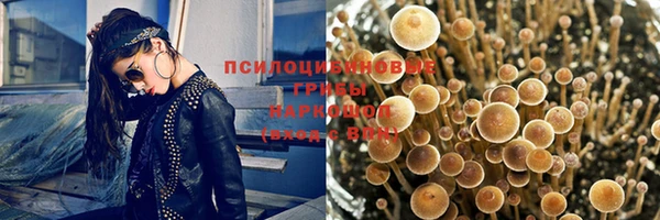 apvp Майский